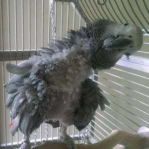 Meet your Posher, Valerie